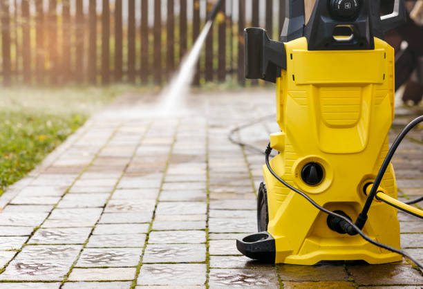 Best Animal Enclosure Cleaning  in Mirrormont, WA